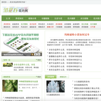 浴花谷花卉网