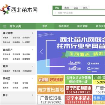 西北苗木网
