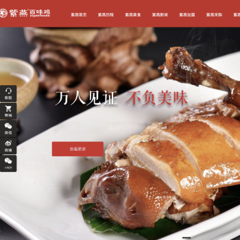 紫燕食品