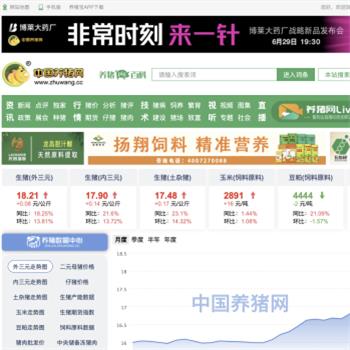 中国养猪网