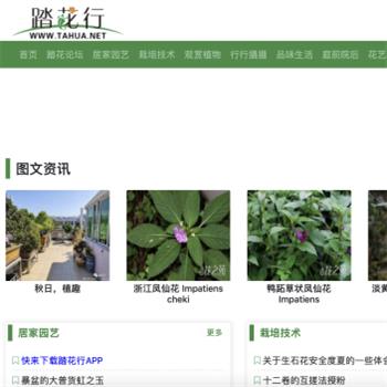 踏花行