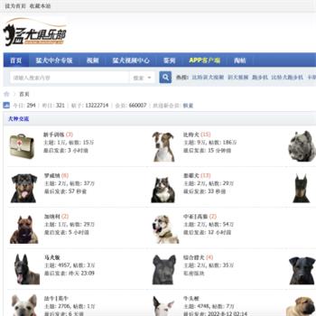 猛犬俱乐部