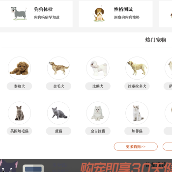 淘狗网