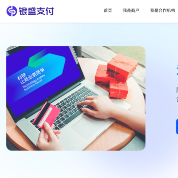 银盛支付
