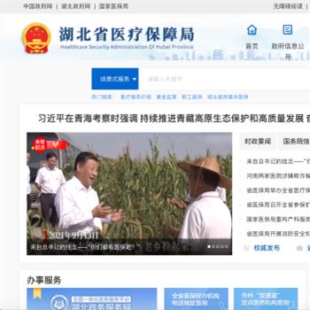 湖北省医疗保障局
